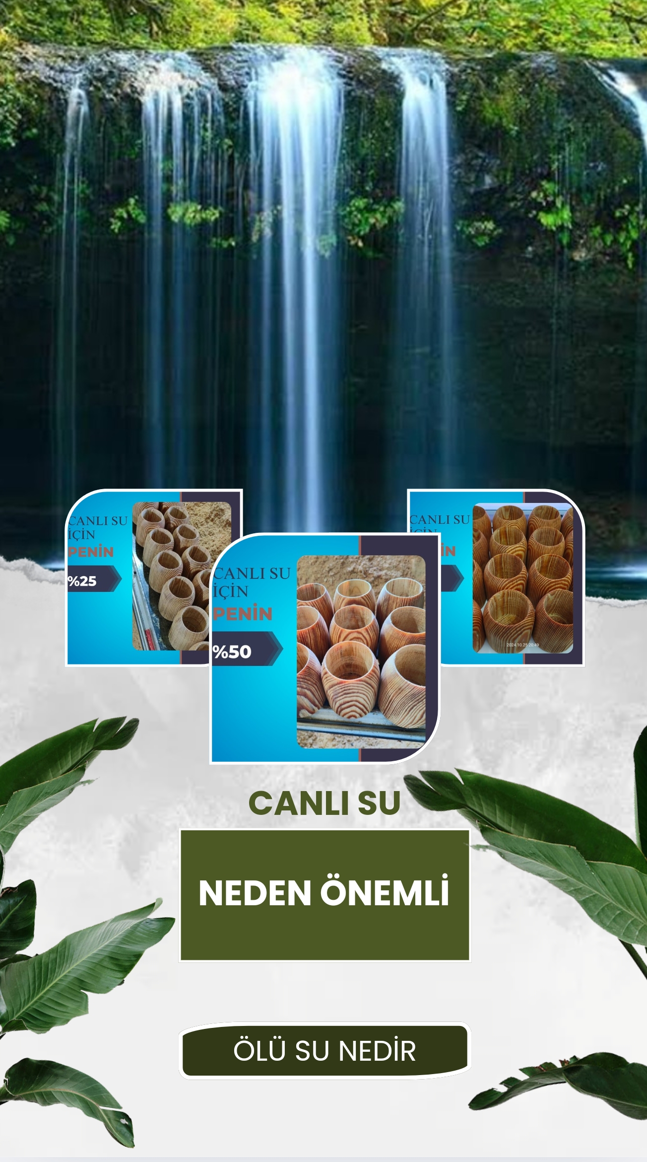 Canlı su neden önemli